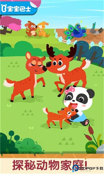 奇妙的动物家庭
