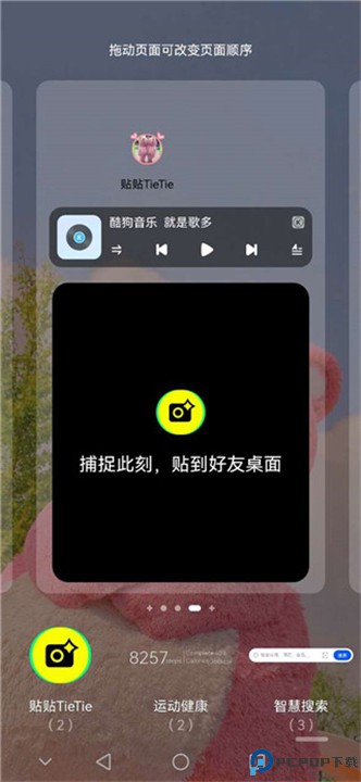 贴贴