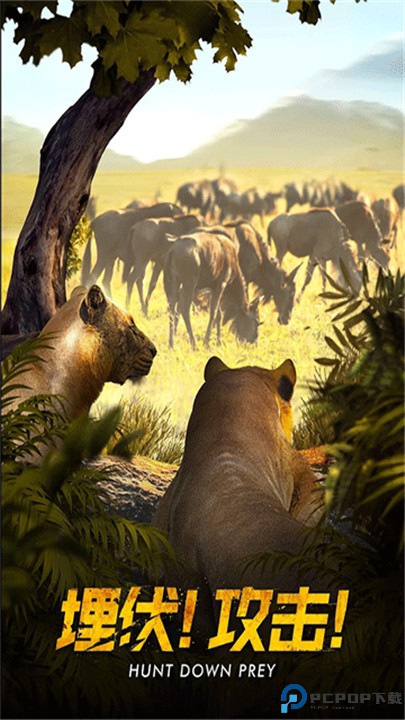 野兽领主新世界手游