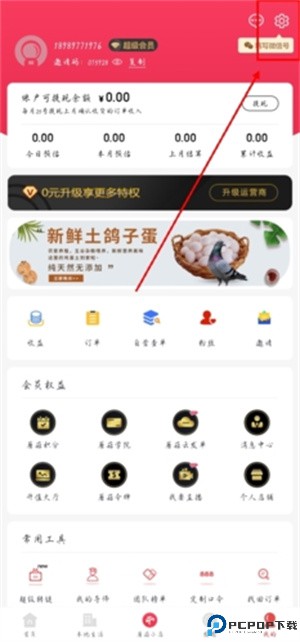 小白菇