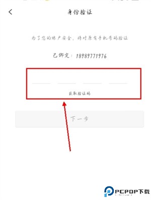 小白菇