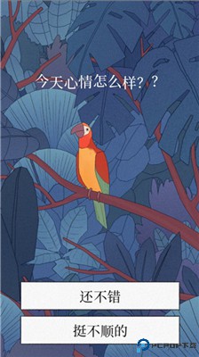 孤独的鸟儿手游