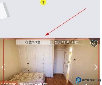 大房鸭3
