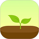 forest专注森林专业版