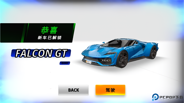 多人汽车驾驶模拟器免费下载