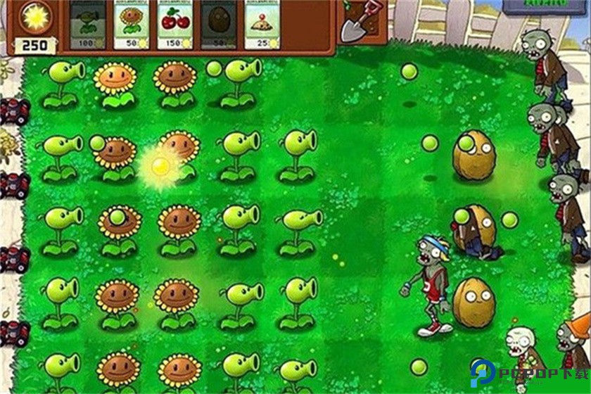 植物大战僵尸2010经典版免费下载