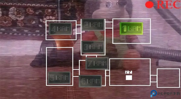 刺猬的五夜后宫