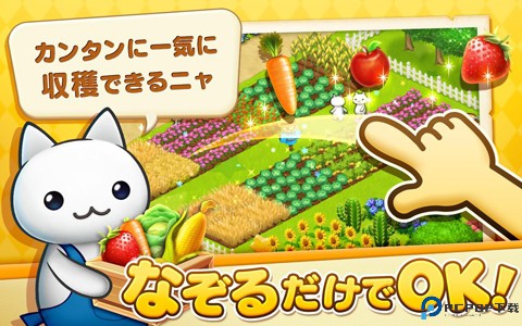 星星岛猫咪免费下载