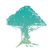 树兰医生手机版