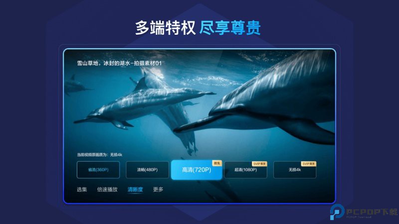 百度网盘TV最新版