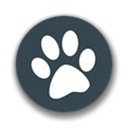 兽音译者在线翻译app最新版