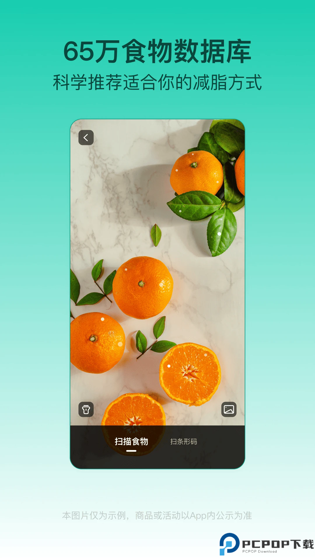 热量减肥法手机版