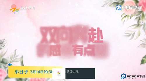 随风电视最新版