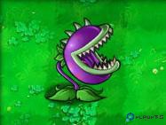 植物大战僵尸Hd版攻略