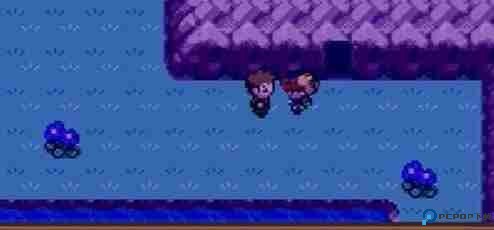 口袋妖怪燃之智106号水路通关路线