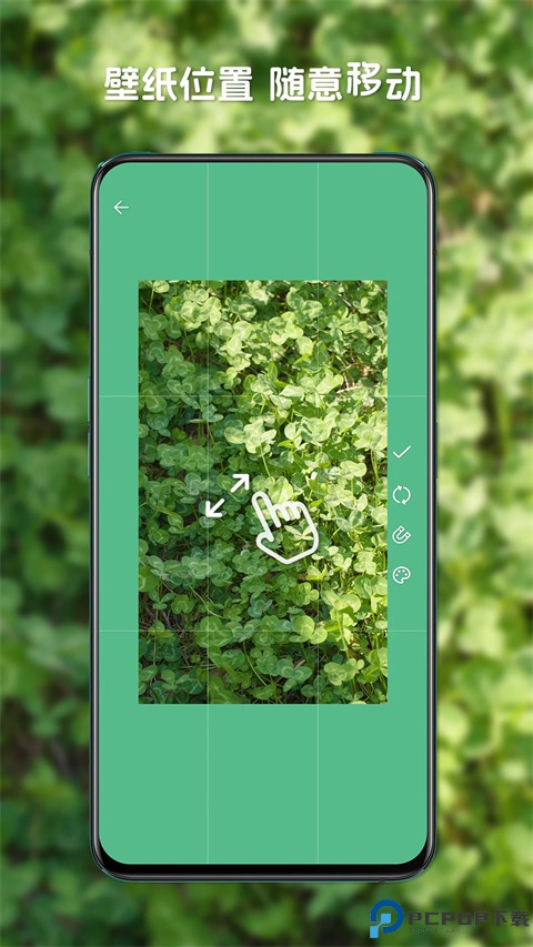 星咩视频壁纸最新版