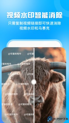 指尖虚拟摄像头最新版