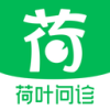 荷叶问诊手机版