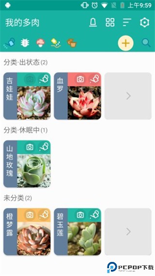 多肉成长记手机版