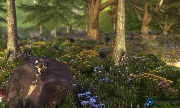 荒野Wilderless中文版