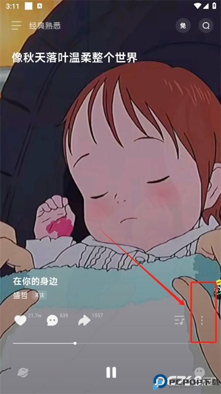 波点音乐官方正版