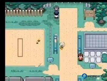 宝可梦迷之规则