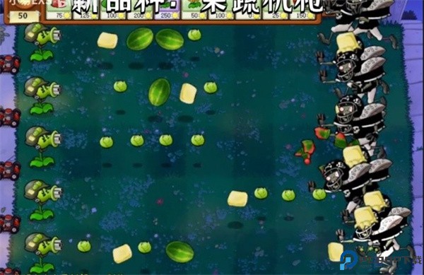 植物大战僵尸CL版本免费下载