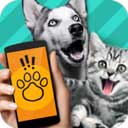 动物翻译器最新版