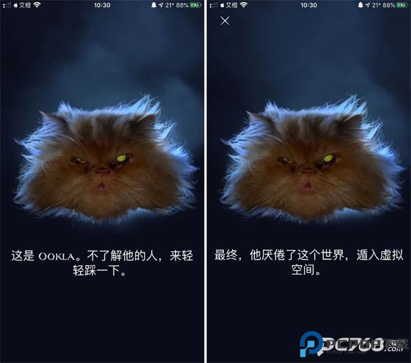 ookla speedtest中文版