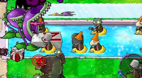 植物大战僵尸吃不了席版