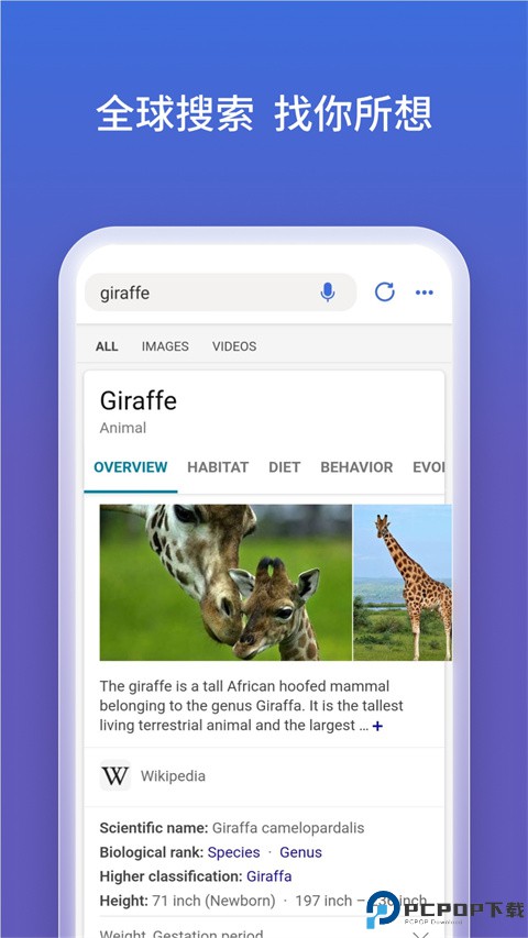 必应bing国内版最新版