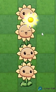 植物大战僵尸宅宅萝卜lg版游戏攻略