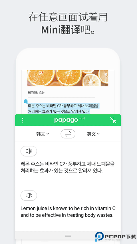 papago翻译器最新版
