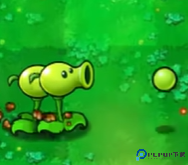 植物大战僵尸吃不了席版