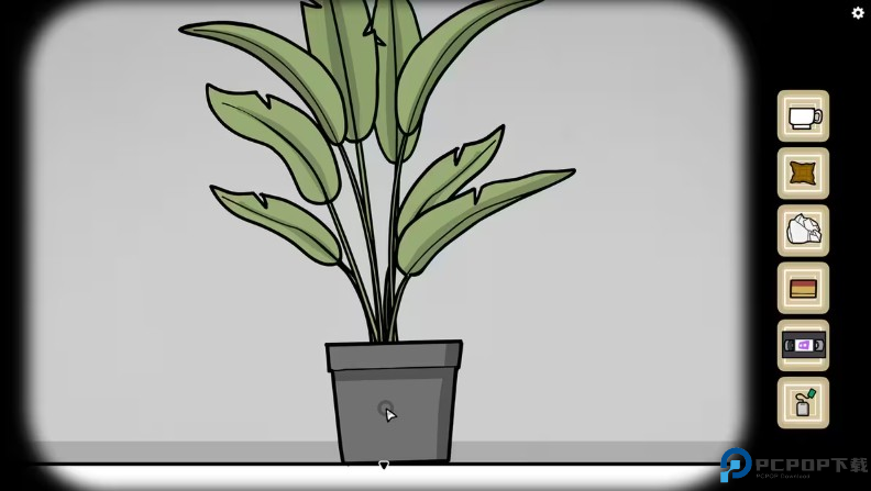 兔子先生的魔法秀