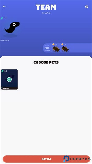 虚空宠物地下城