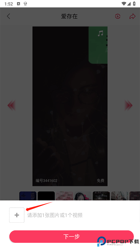 羞兔动态壁纸免费版