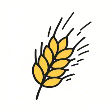 麦芽英语手机版