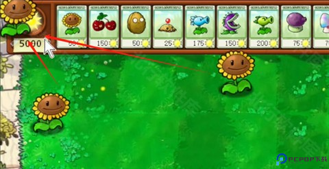 植物大战僵尸吃不了席版