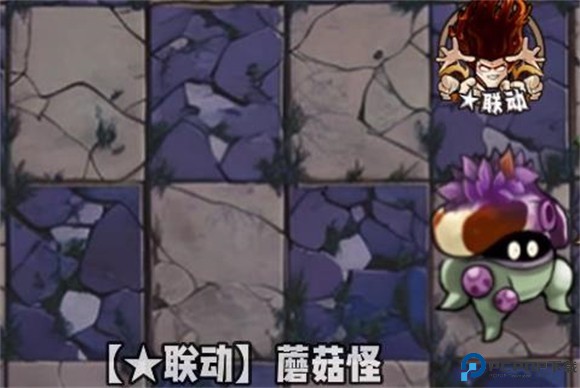 植物大战僵尸神奇植物版12