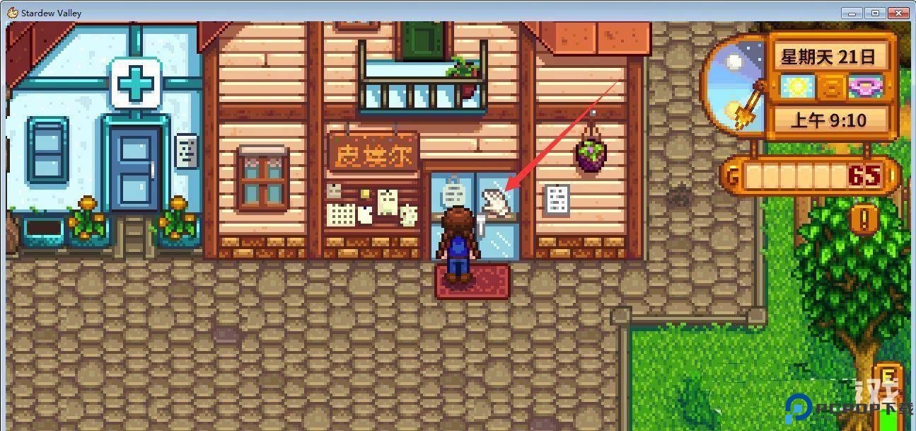 星露谷物语魔改版