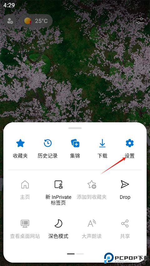 Edge Canary安卓版