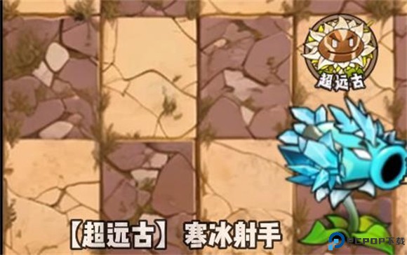 植物大战僵尸神奇植物版8