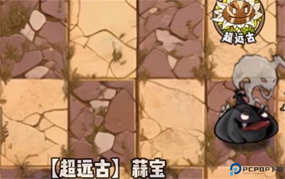 植物大战僵尸神奇植物版7