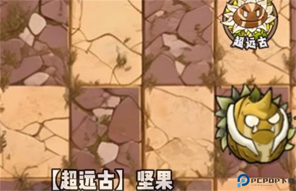 植物大战僵尸神奇植物版6