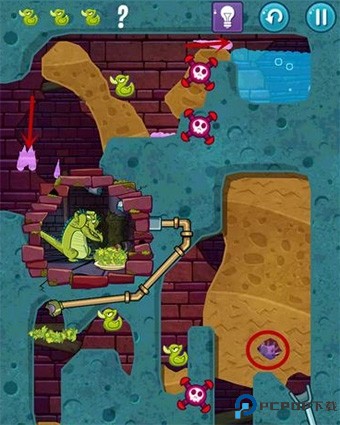 鳄鱼小顽皮爱洗澡17