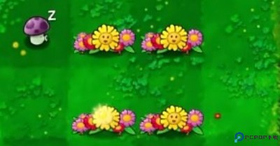 植物大战僵尸生态版