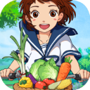 新小森生活手游免费下载