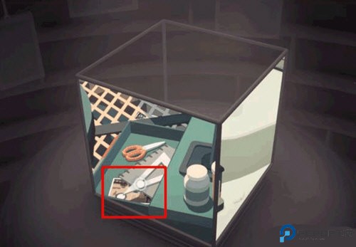 笼中窥梦手游免费下载