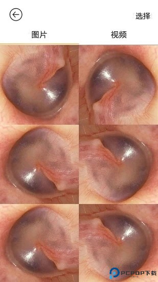 蜂鸟采耳app最新版